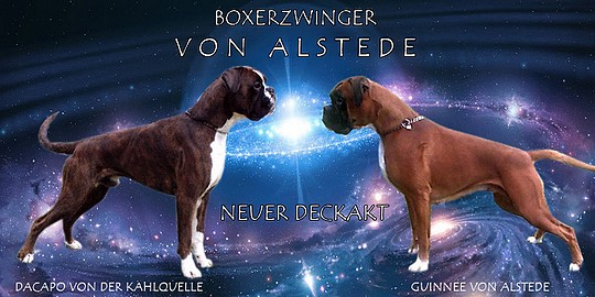 Guinnee von Alstede