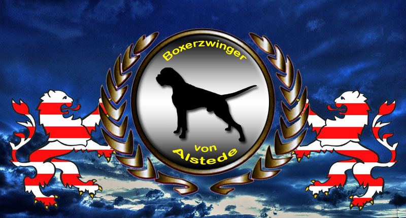 Boxerzwinger von Alstede