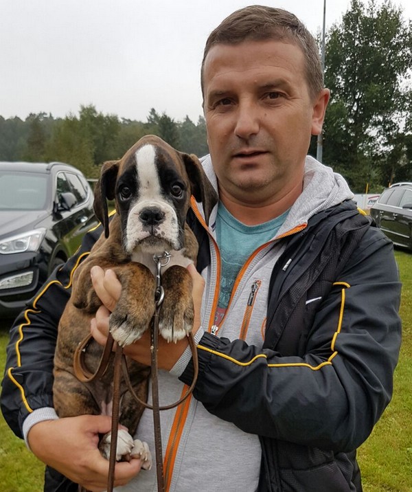 Alstede Boxer S-Wurf